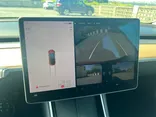 RED, 2019 TESLA MODEL 3 Thumnail Image 23