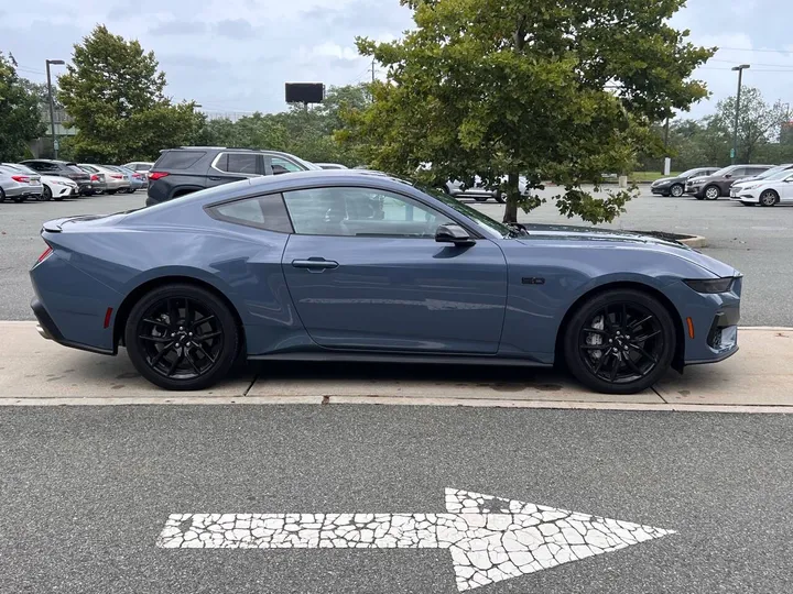 Gray, 2024 Ford Mustang Image 6