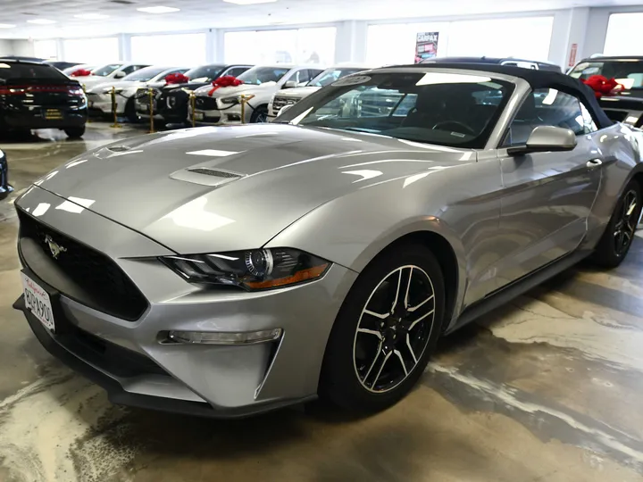 SILVER, 2022 FORD MUSTANG Image 6