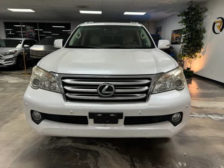 WHITE, 2010 LEXUS GX Image 2