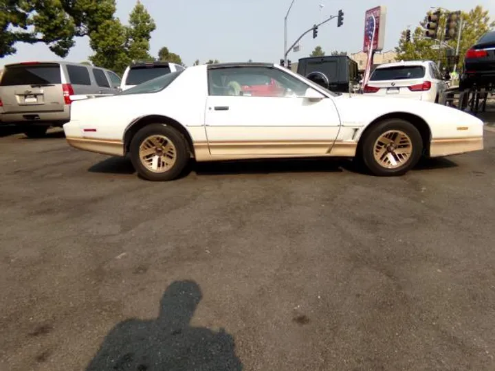 WHITE/GOLD, 1985 PONTIAC FIREBIRD TRANS AM Image 6