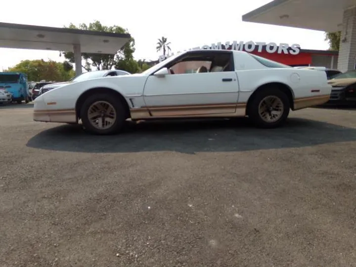 WHITE/GOLD, 1985 PONTIAC FIREBIRD TRANS AM Image 2