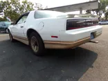 WHITE/GOLD, 1985 PONTIAC FIREBIRD TRANS AM Thumnail Image 3