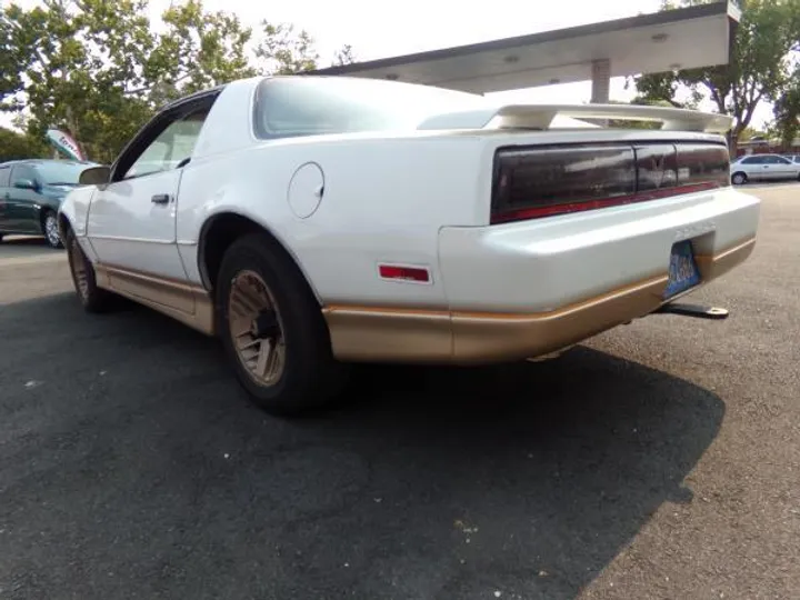 WHITE/GOLD, 1985 PONTIAC FIREBIRD TRANS AM Image 3