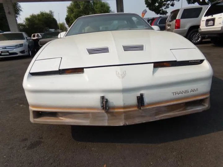 WHITE/GOLD, 1985 PONTIAC FIREBIRD TRANS AM Image 8