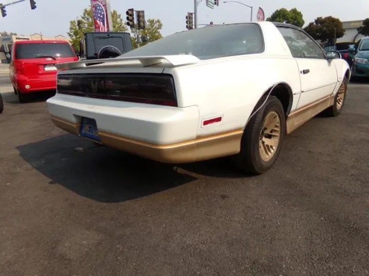 WHITE/GOLD, 1985 PONTIAC FIREBIRD TRANS AM Image 5