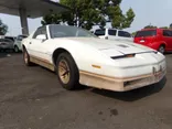 WHITE/GOLD, 1985 PONTIAC FIREBIRD TRANS AM Thumnail Image 7