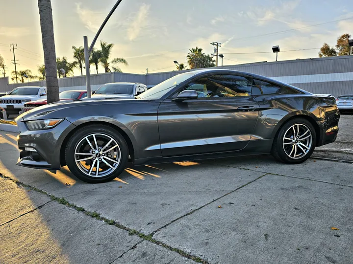 GREY, 2016 FORD MUSTANG Image 4