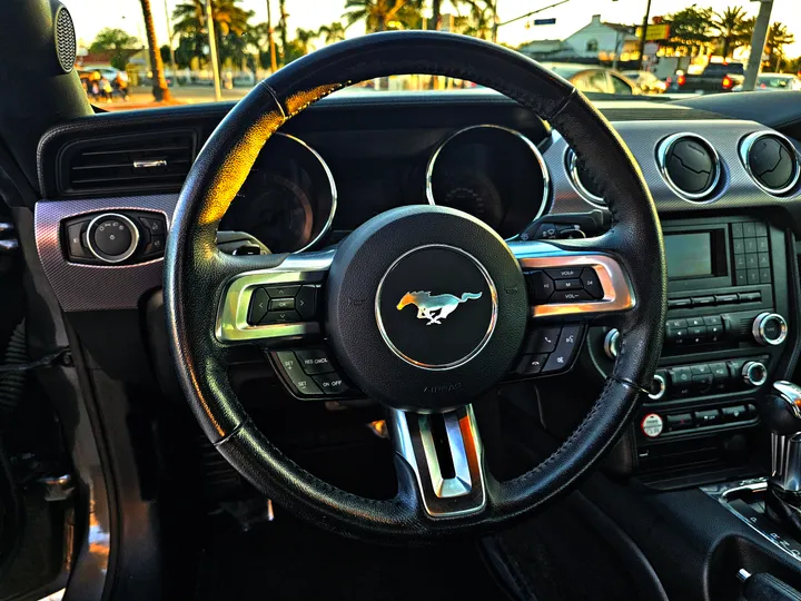 GREY, 2016 FORD MUSTANG Image 14