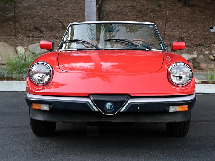 RED, 1983 ALFA ROMEO SPIDER Image 2