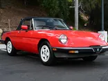 RED, 1983 ALFA ROMEO SPIDER Thumnail Image 11