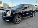 BLACK, 2009 CADILLAC ESCALADE Thumnail Image 15