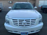 WHITE PEARL, 2011 CADILLAC ESCALADE ESV Thumnail Image 8