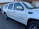 WHITE PEARL, 2011 CADILLAC ESCALADE ESV Thumnail Image 180