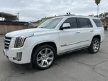 N / A, 2016 CADILLAC ESCALADE Thumnail Image 10