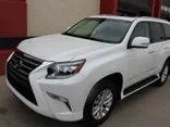 WHITE, 2019 Lexus GX 460 Thumnail Image 8