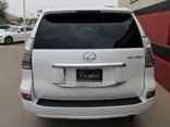 WHITE, 2019 Lexus GX 460 Thumnail Image 6