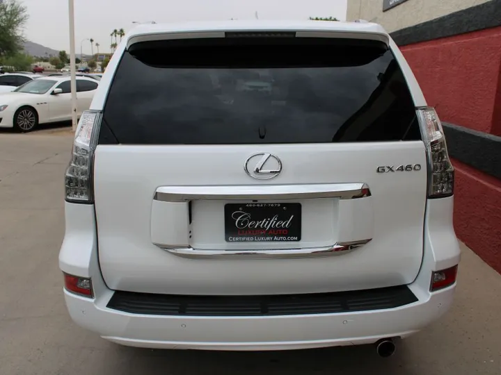 WHITE, 2019 Lexus GX 460 Image 6