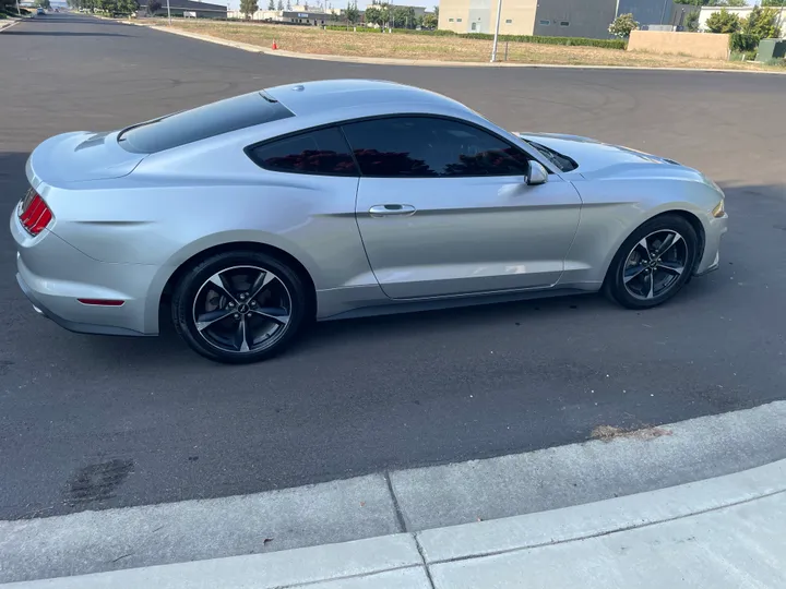 N / A, 2019 FORD MUSTANG Image 6