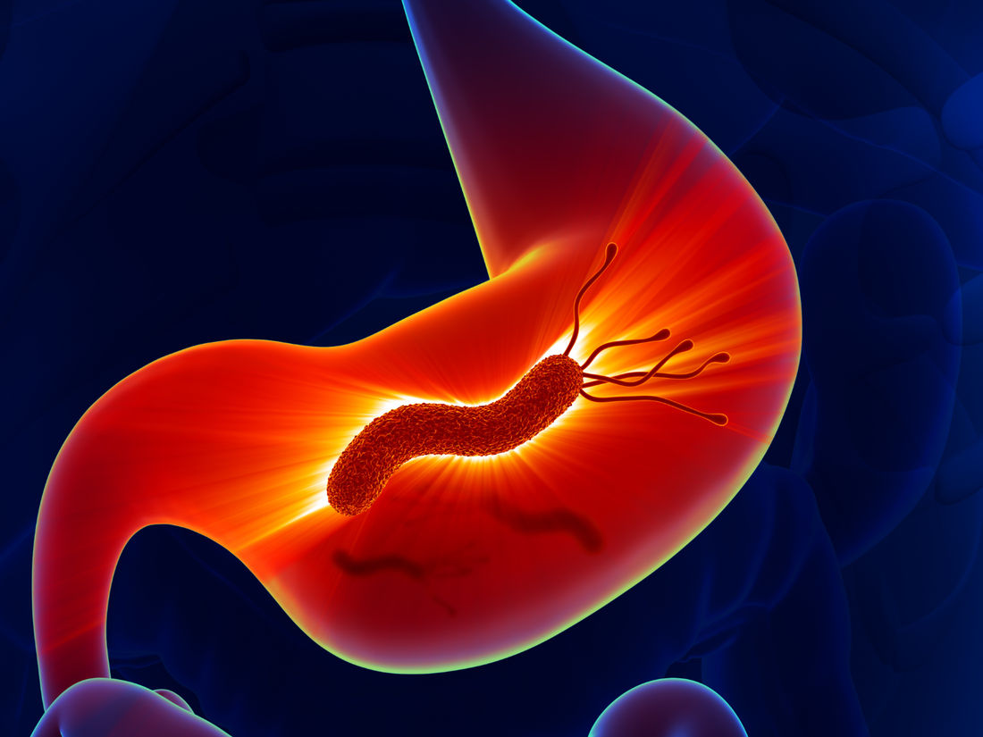 Helicobacter pylori