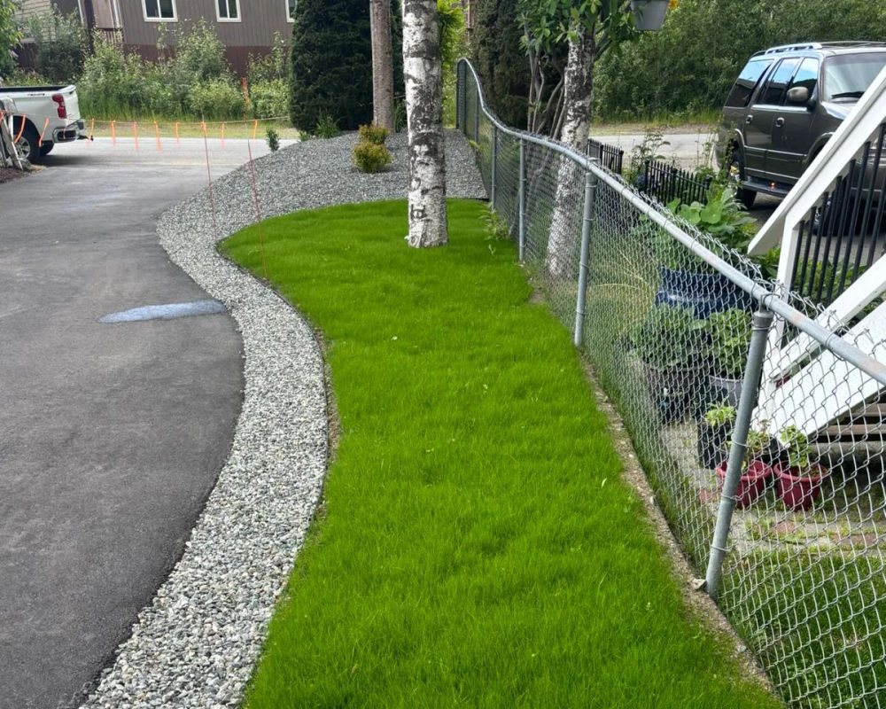 Established hydroseed lawn on a residential property, Wasilla Alaska