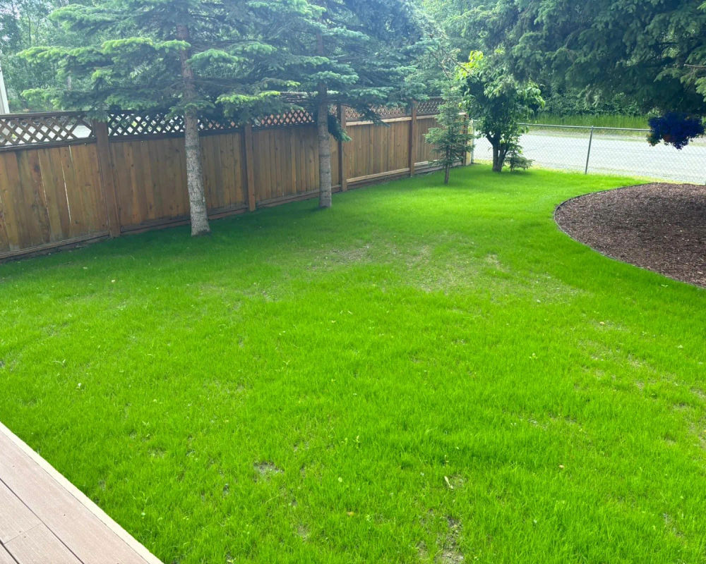 Hydroseed lawn with boulder landscaping, Mat-Su Valley Alaska