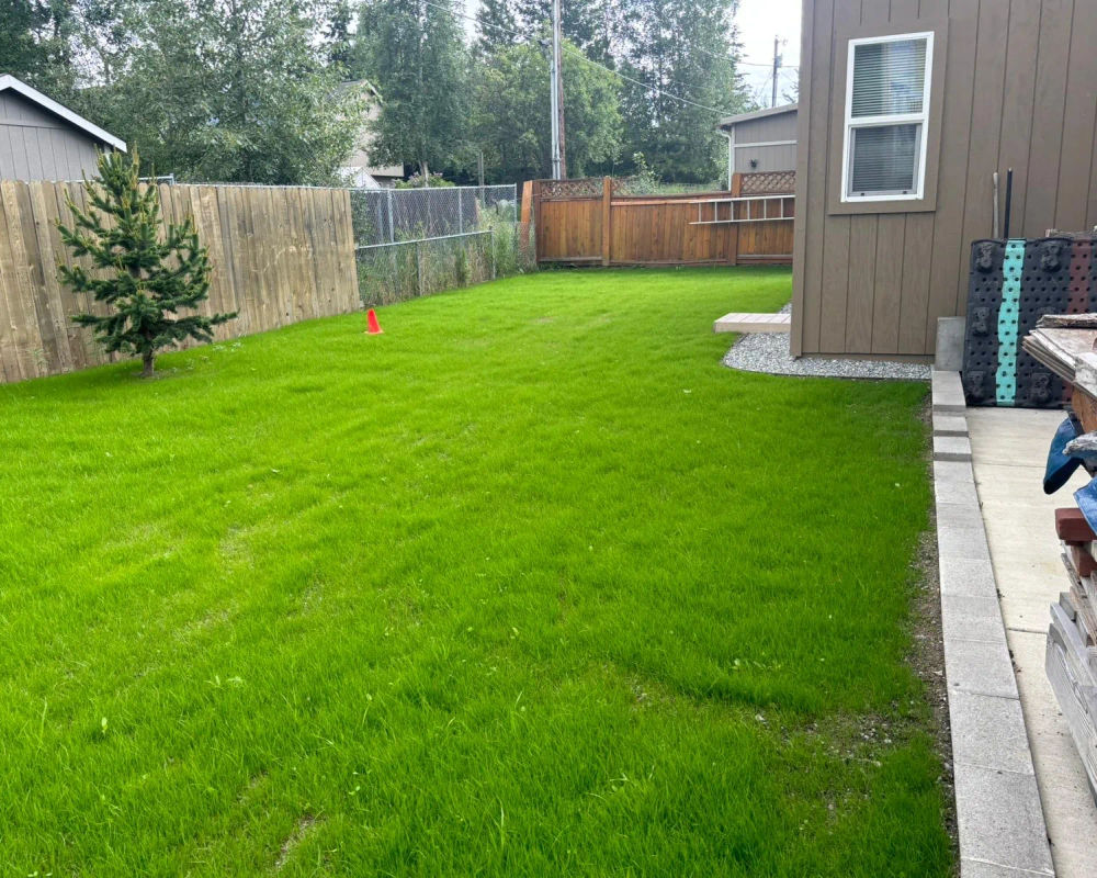 Green hydroseed lawn filling a residential lot, Wasilla Alaska