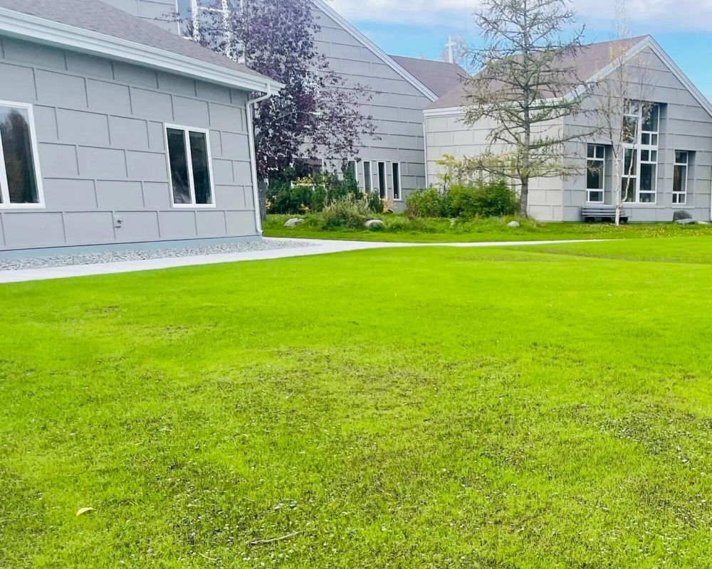 Hydroseeded lawn by Titan LLC — Anchorage, AK