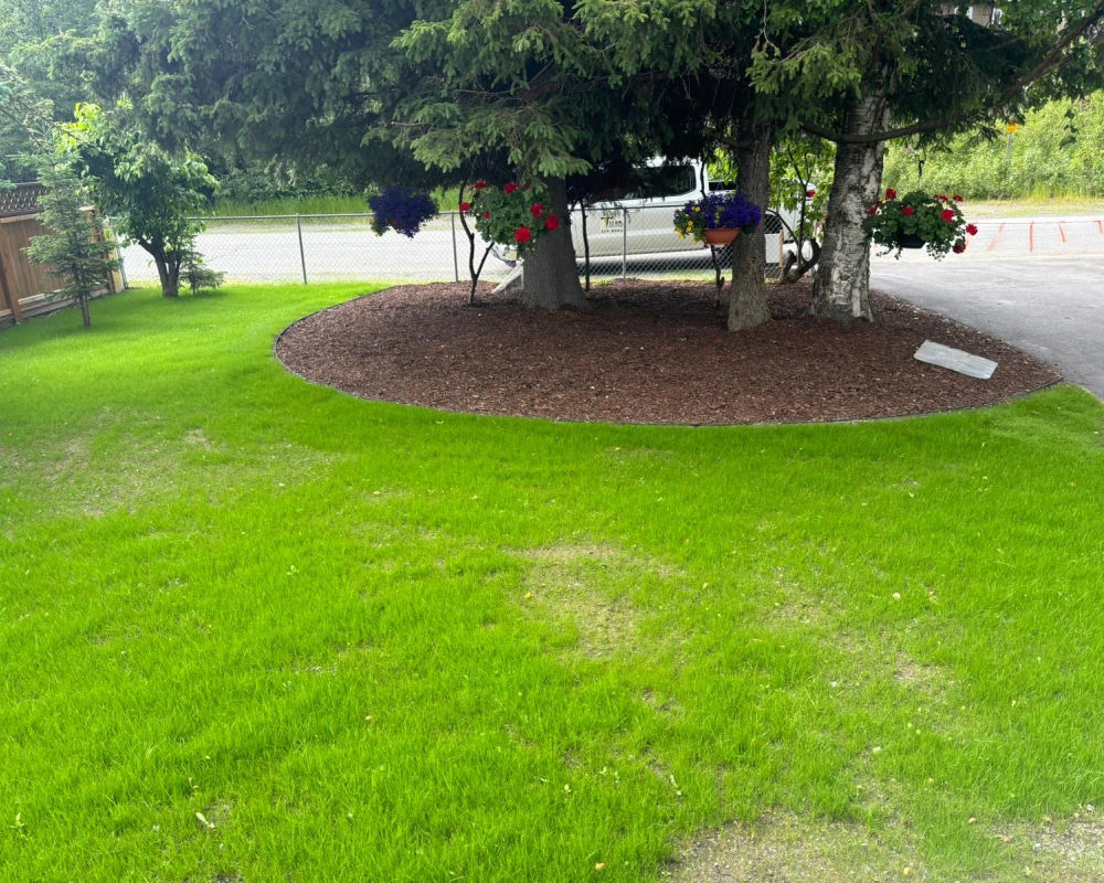 Hydroseeded lawn by Titan LLC — Anchorage, AK