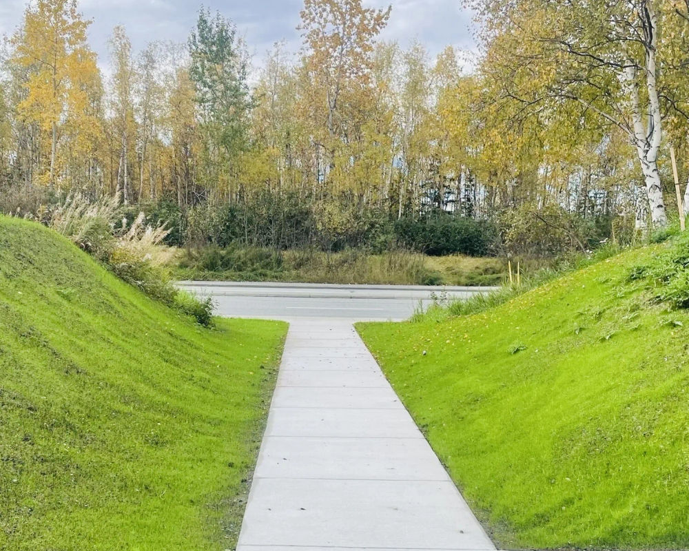 Hydroseeded lawn by Titan LLC — Anchorage, AK