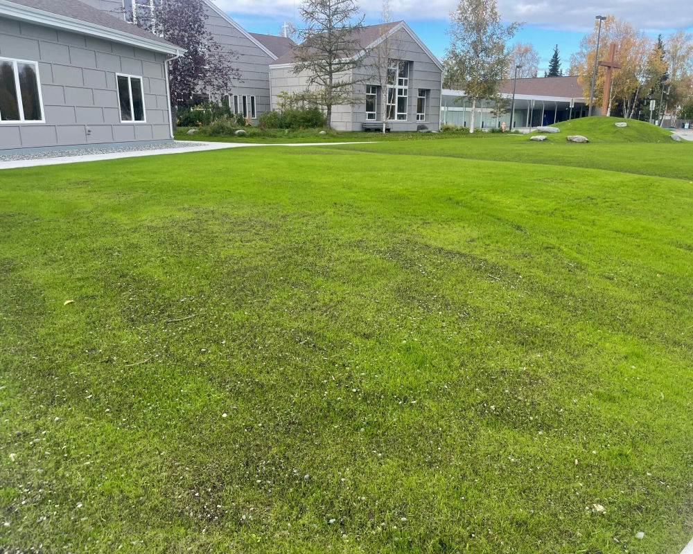 Hydroseed and sod lawn with irrigation, Anchorage Alaska