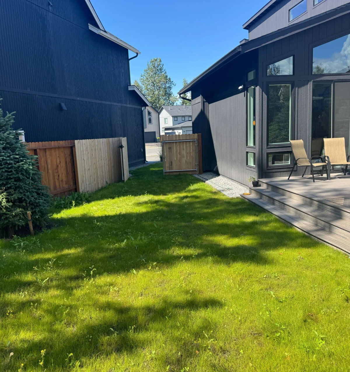 Hydroseeded slope for erosion control in Anchorage