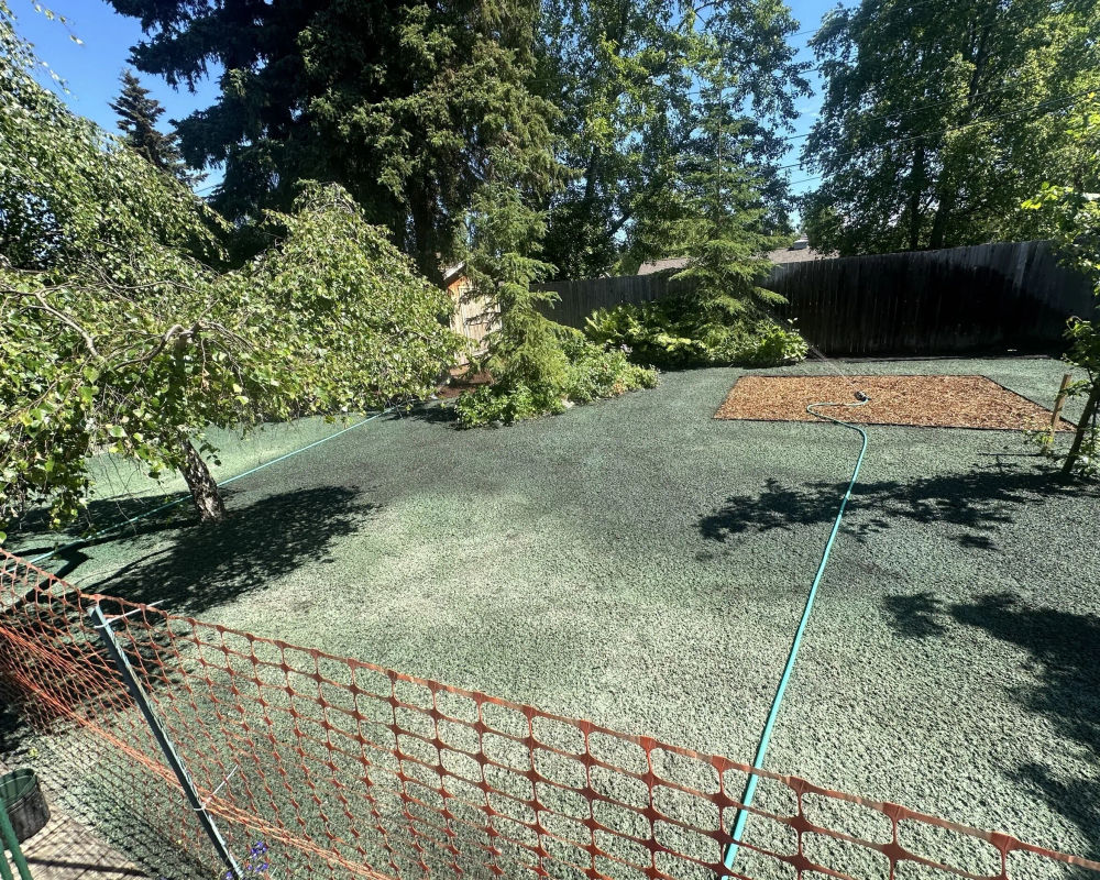 Hydroseeded lawn by Titan LLC — Anchorage, AK
