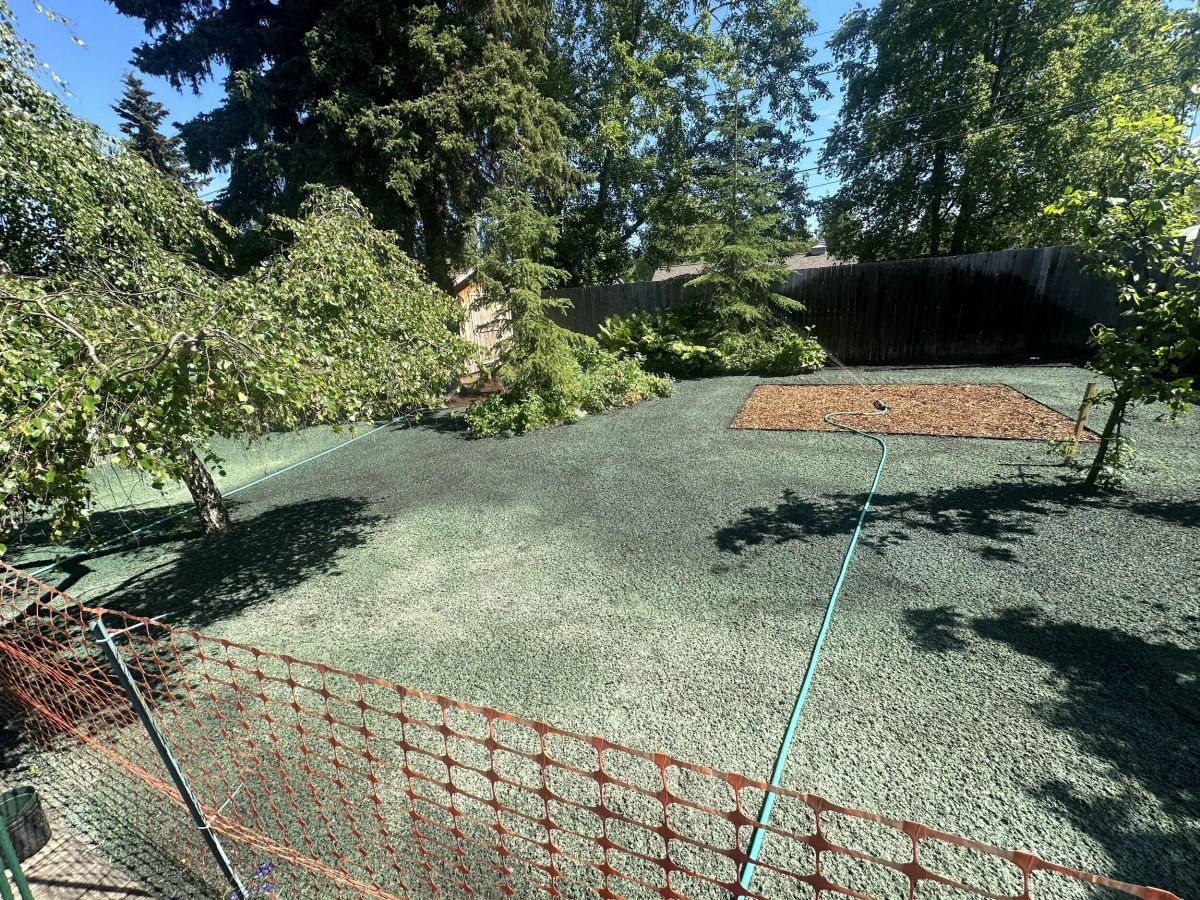 Hydroseed slurry freshly applied on an Eagle River lot