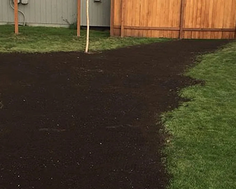 Hydroseeded lawn by Titan LLC — Anchorage, AK