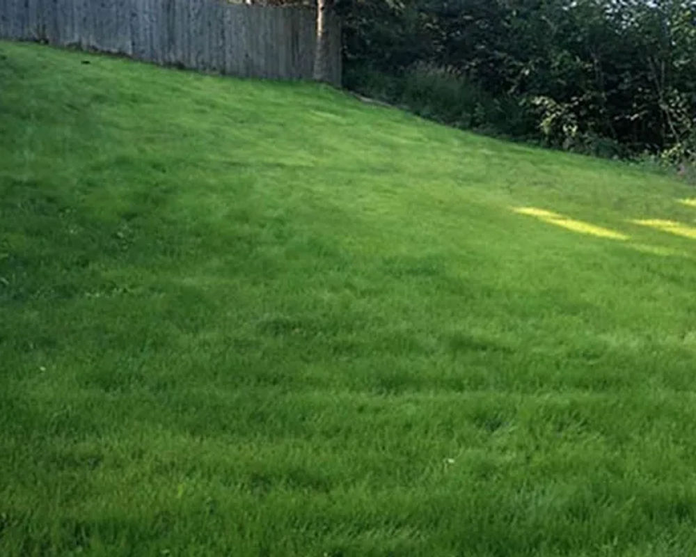 Hydroseeded lawn by Titan LLC — Anchorage, AK