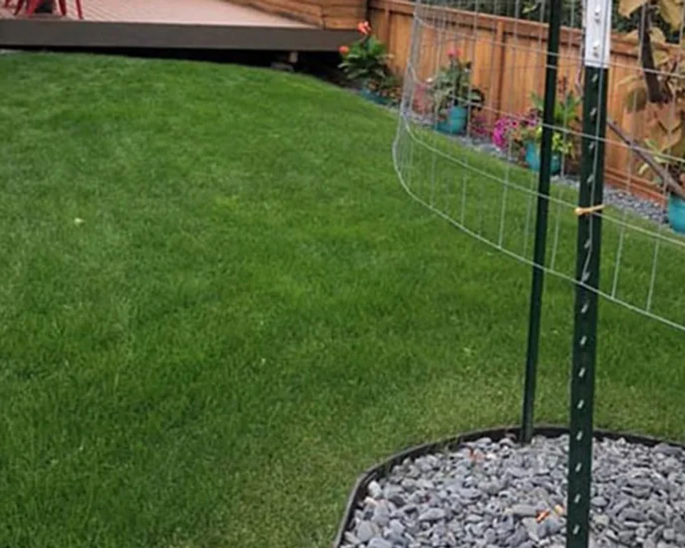 Hydroseeded lawn by Titan LLC — Anchorage, AK