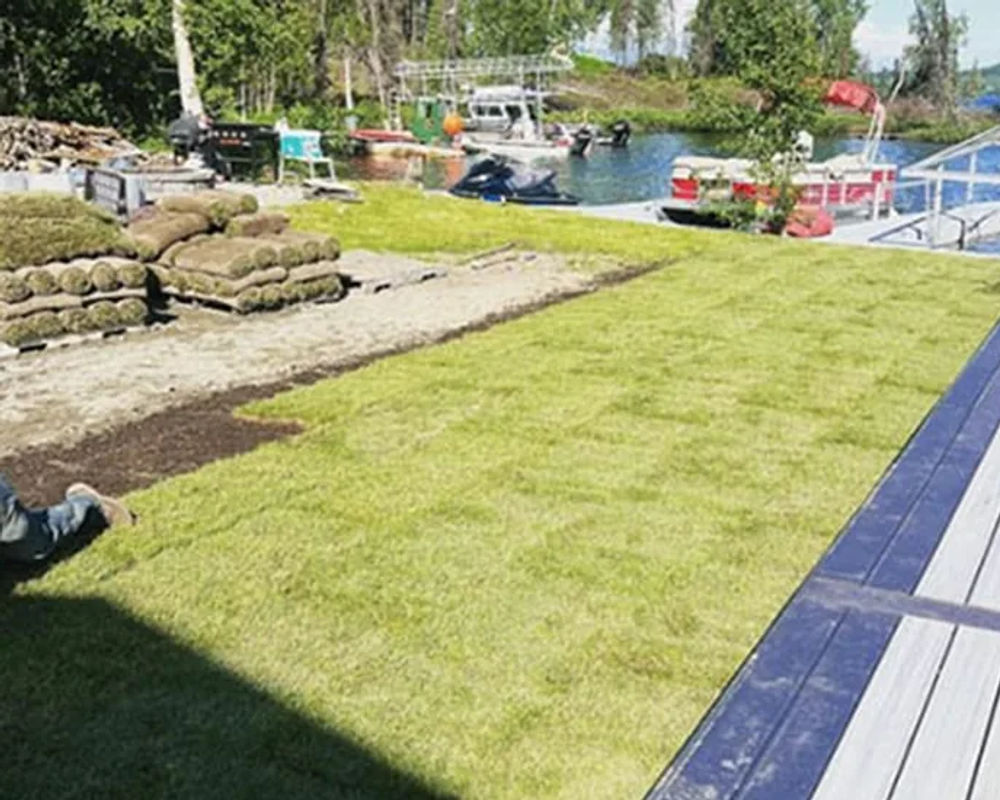 Hydroseeded lawn by Titan LLC — Anchorage, AK