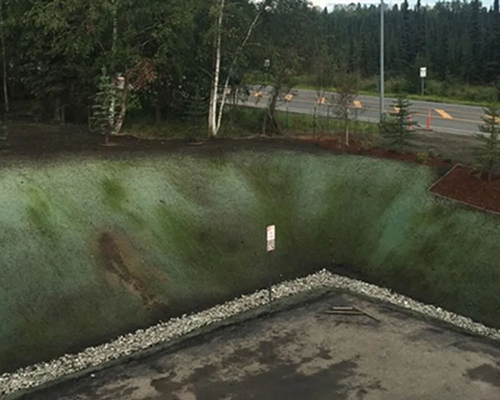 Hydroseeded lawn by Titan LLC — Anchorage, AK