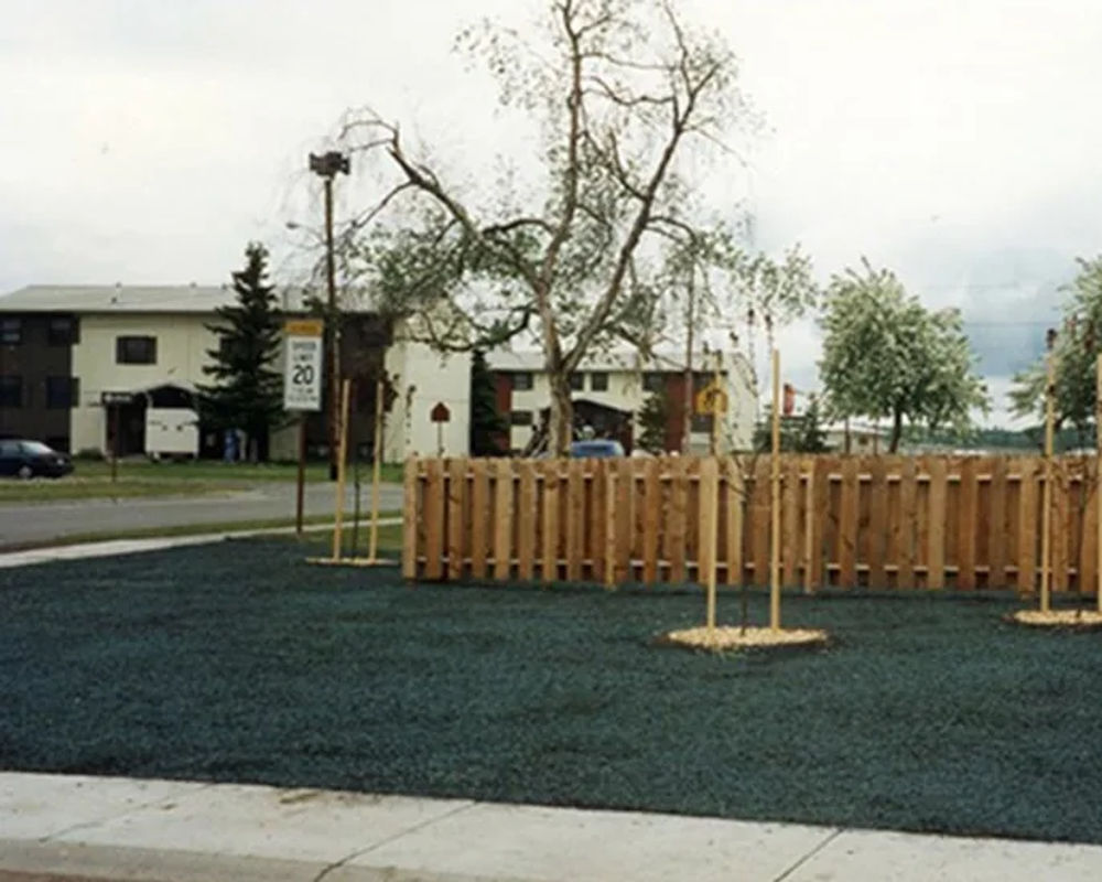 Hydroseeded lawn by Titan LLC — Anchorage, AK