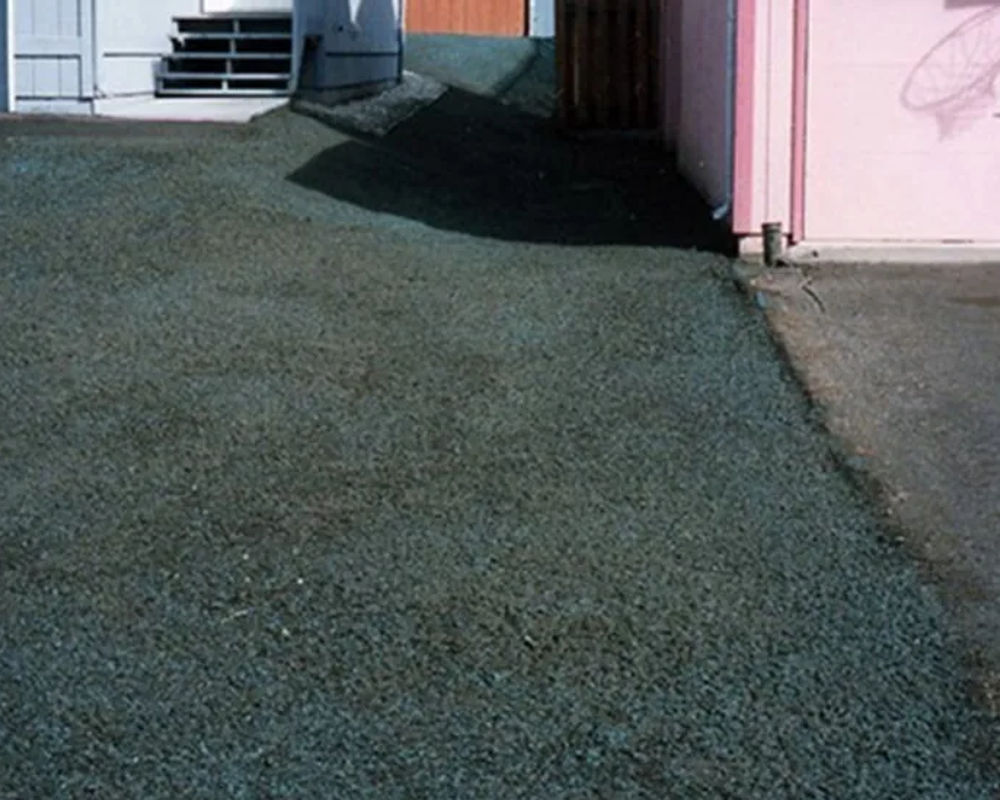 Hydroseeded lawn by Titan LLC — Anchorage, AK