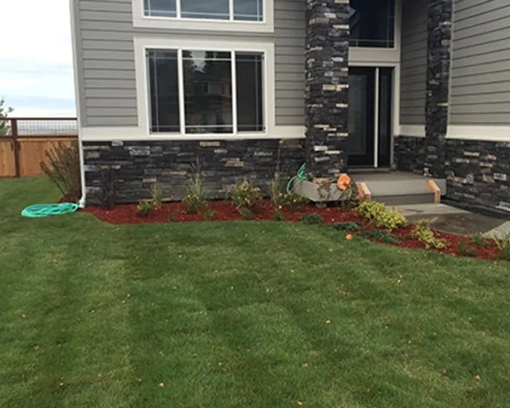 Hydroseeded lawn by Titan LLC — Anchorage, AK