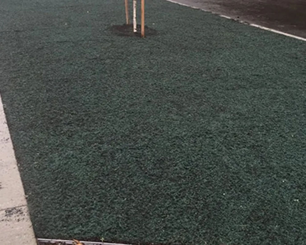Hydroseeded lawn by Titan LLC — Anchorage, AK