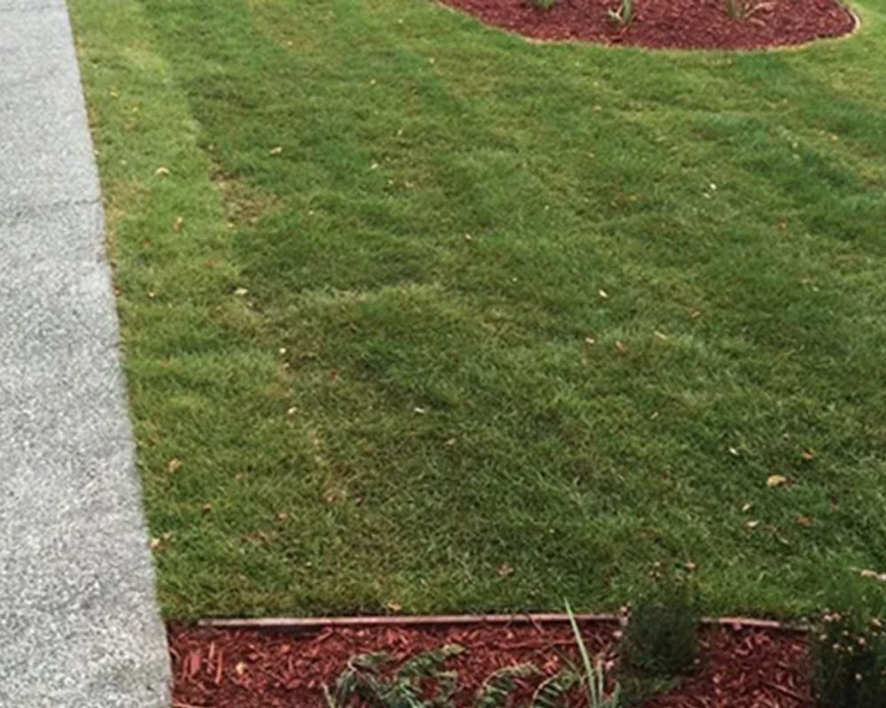 Hydroseeded lawn by Titan LLC — Anchorage, AK