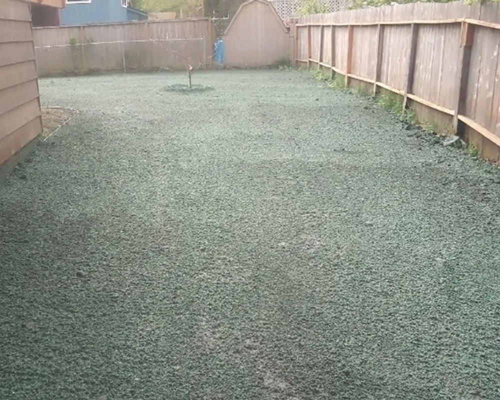 Hydroseeded lawn by Titan LLC — Anchorage, AK