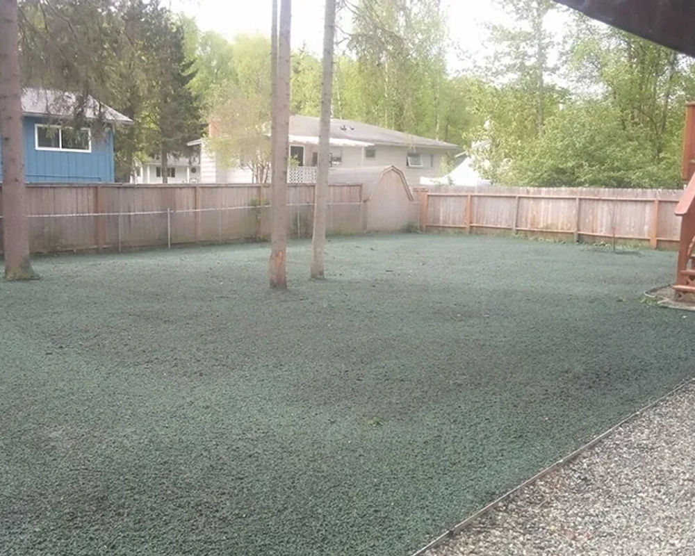 Hydroseeded lawn by Titan LLC — Anchorage, AK