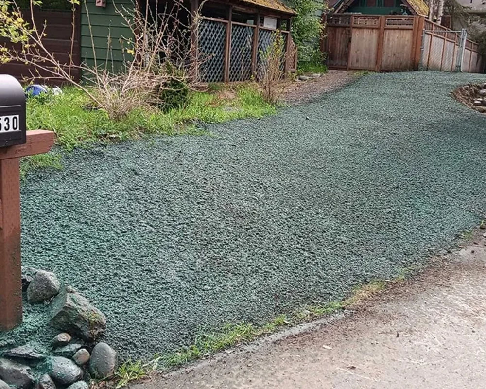 Hydroseeded lawn by Titan LLC — Anchorage, AK