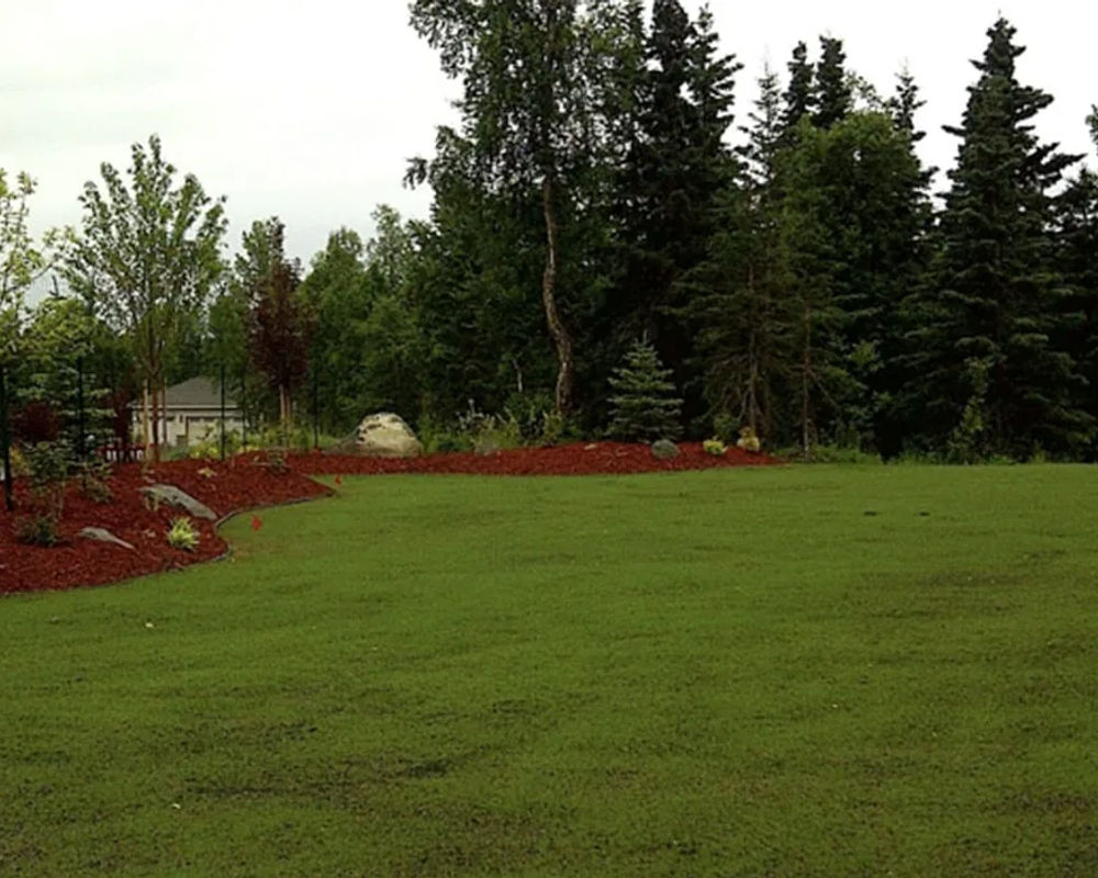 Hydroseeded lawn by Titan LLC — Anchorage, AK