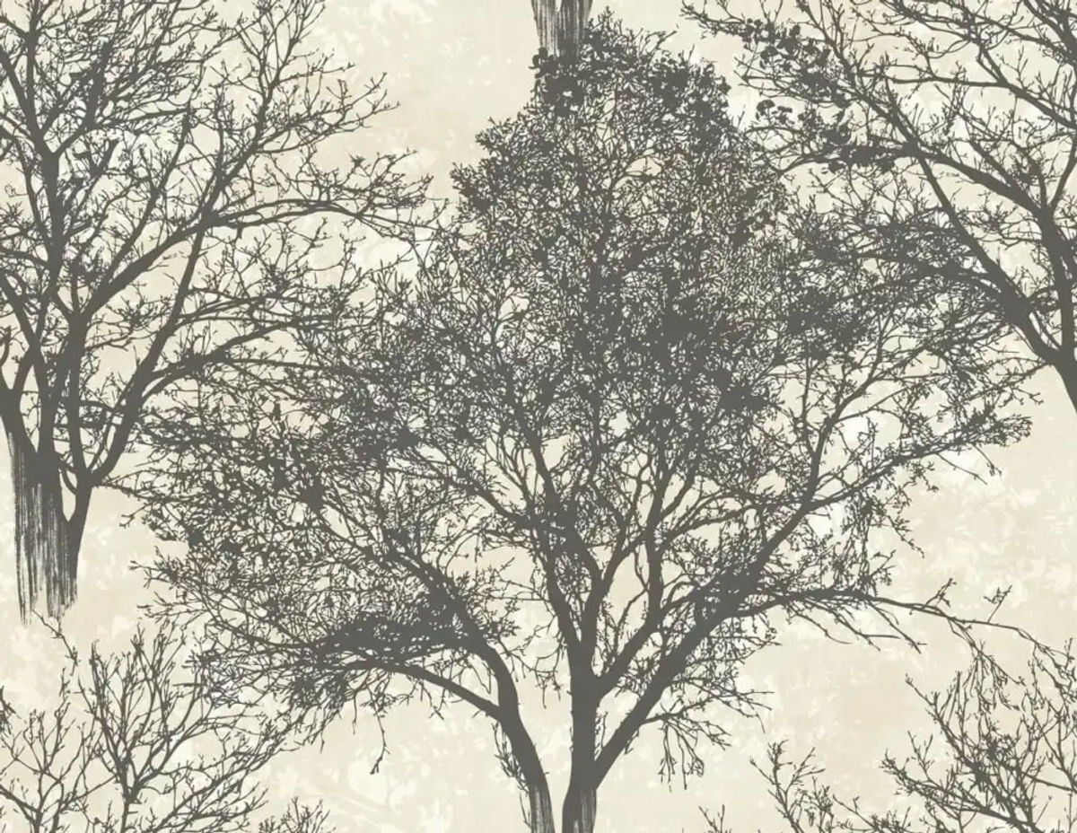 Langdale — Carl Robinson