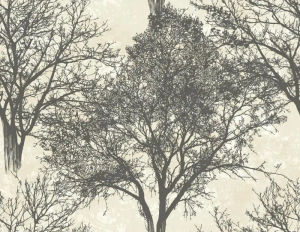 Langdale — Carl Robinson